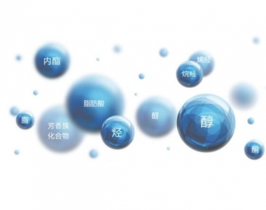 餐飲油煙環(huán)境監(jiān)測專題