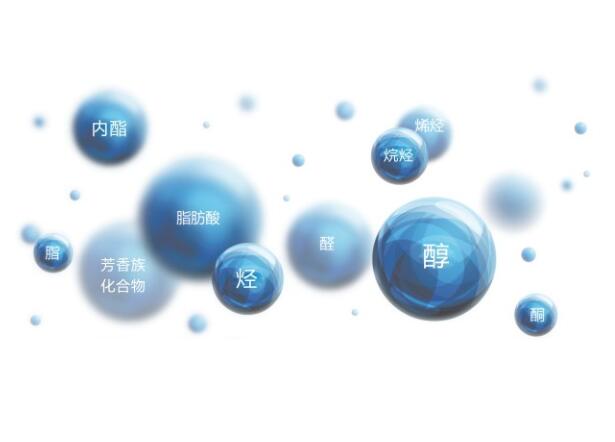 工業(yè)廢氣有哪些環(huán)境監(jiān)測項目 工業(yè)廢氣有哪些環(huán)境監(jiān)測項目