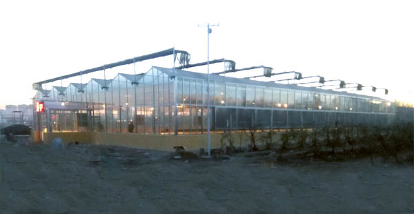 智慧農業物聯網技術與精準農業的發展 智慧農業物聯網技術與精準農業的發展