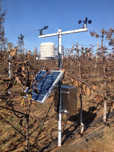 農田環境監測-農業氣象站價格不同的原因有哪些? 農田環境監測-農業氣象站價格不同的原因有哪些?