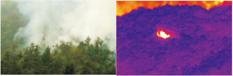 森林火險預(yù)警系統(tǒng)產(chǎn)品方案 森林火險預(yù)警系統(tǒng)產(chǎn)品方案