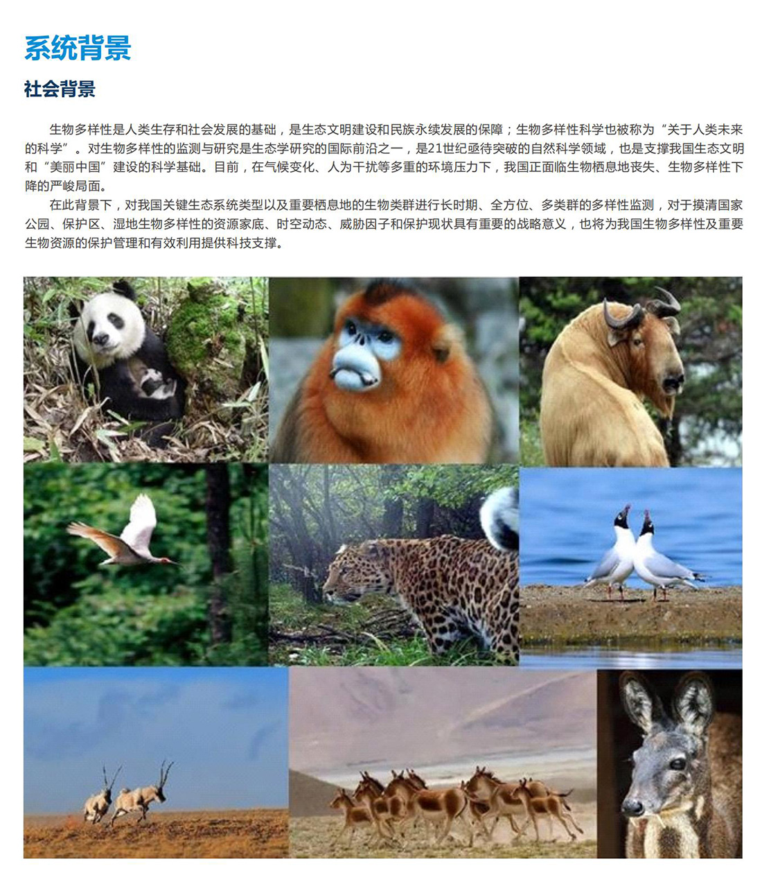 生態保護區動植物環境監測系統方案